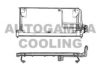 AUTOGAMMA 101709 Condenser, air conditioning